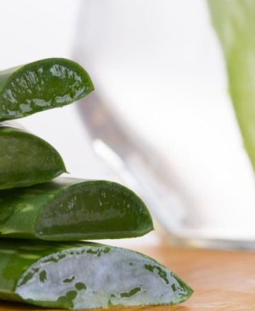 aloe-vera-nedir-aloe-vera-yararlari-nelerdir-rO4i1qp2.jpg