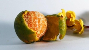 asil-vitamini-kabugunda-mandalinalarin-kabuklari-yenir-mi-mandalina-kabugu-cayi-faydalari-neler-kKDt3Y2T.jpg