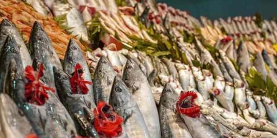 balik-fiyatlari-ne-kadar-subat-2025-istavrit-hamsi-mezgit-zargana-kilosu-kac-tl-LaxY5egJ.jpg