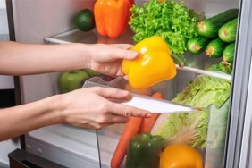 buzdolabinin-sebzelik-cekmecesi-ne-ise-yarar-buzdolabinin-sebzelik-cekmecesi-en-etkili-nasil-kullanilir-T9Z4ScCI.jpg