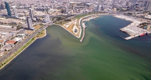 deniz-neden-renk-degistiriyor-plankton-patlamasi-nedir-wuvQ6axq.jpg
