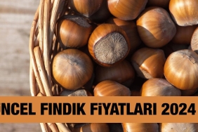findik-fiyati-ne-kadar-kac-tl-27-ekim-2024-trabzon-ordu-giresun-samsun-sakarya-snWgGY2a.jpg