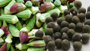 kuru-bamya-tohumu-nasil-kullanilir-dizler-icin-bamya-tohumu-kullananlar-at2Bk7gM.jpg