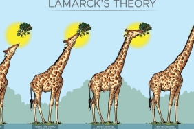 lamarck-teorisi-nedir-pdtCeYTH.jpg