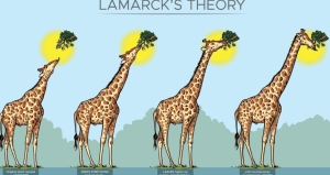 lamarck-teorisi-nedir-pdtCeYTH.jpg