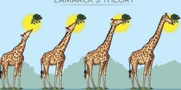 lamarck-teorisi-nedir-pdtCeYTH.jpg