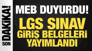 lgs-giris-belgeleri-yayimlandi-lgs-2024-sinav-yerleri-nasil-ogrenilir-WnzPl3Rz.jpg