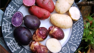 mor-patates-nasil-yenir-faydalari-nelerdir-mor-patates-icerigi-nedir-vbTCq2rc.jpg
