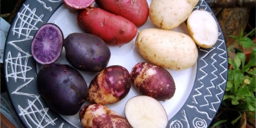 mor-patates-nasil-yenir-faydalari-nelerdir-mor-patates-icerigi-nedir-vbTCq2rc.jpg