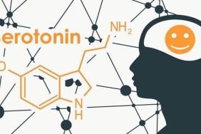 serotonin-melatonin-mutluluk-hormonu-nasil-artar-mutluluk-hormonu-saglayan-seyler-6Tmcsrmr.jpg