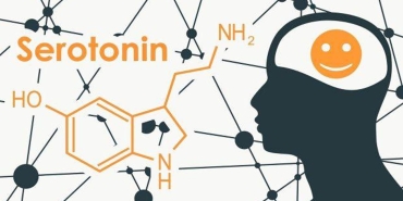 serotonin-melatonin-mutluluk-hormonu-nasil-artar-mutluluk-hormonu-saglayan-seyler-6Tmcsrmr.jpg