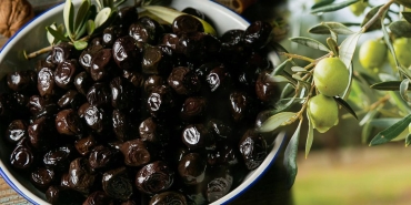 zeytin-cekirdegi-yutulur-mu-zeytin-cekirdegi-faydalari-nelerdir-V6mX2uuS.jpg