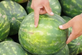 dakikalarca-karpuz-secmeye-son-karpuz-nasil-secilir-diyenlere-5-altin-kural-a9At18il.jpg